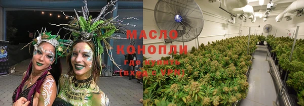 прущие грибы Магадан