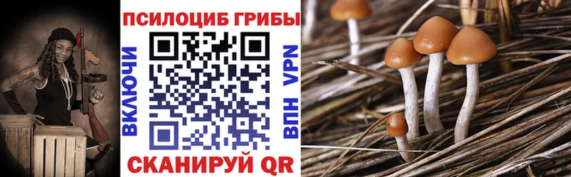Псилоцибиновые грибы Psilocybe Купить Качканар